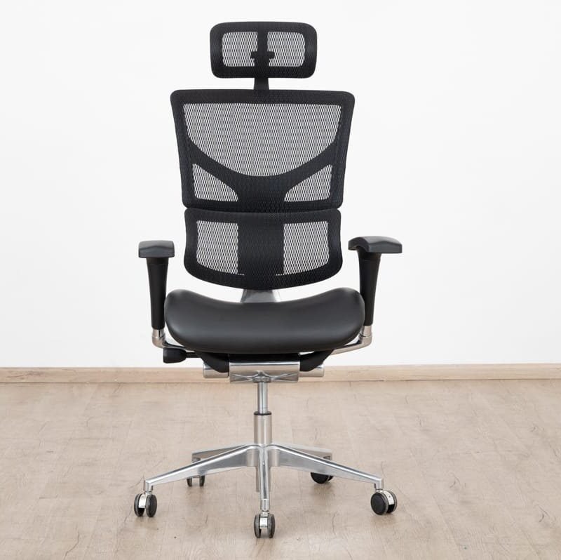 Posture Pro-Executive Ergonomic Chair