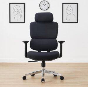 Seil High Back Ergonomic Chair